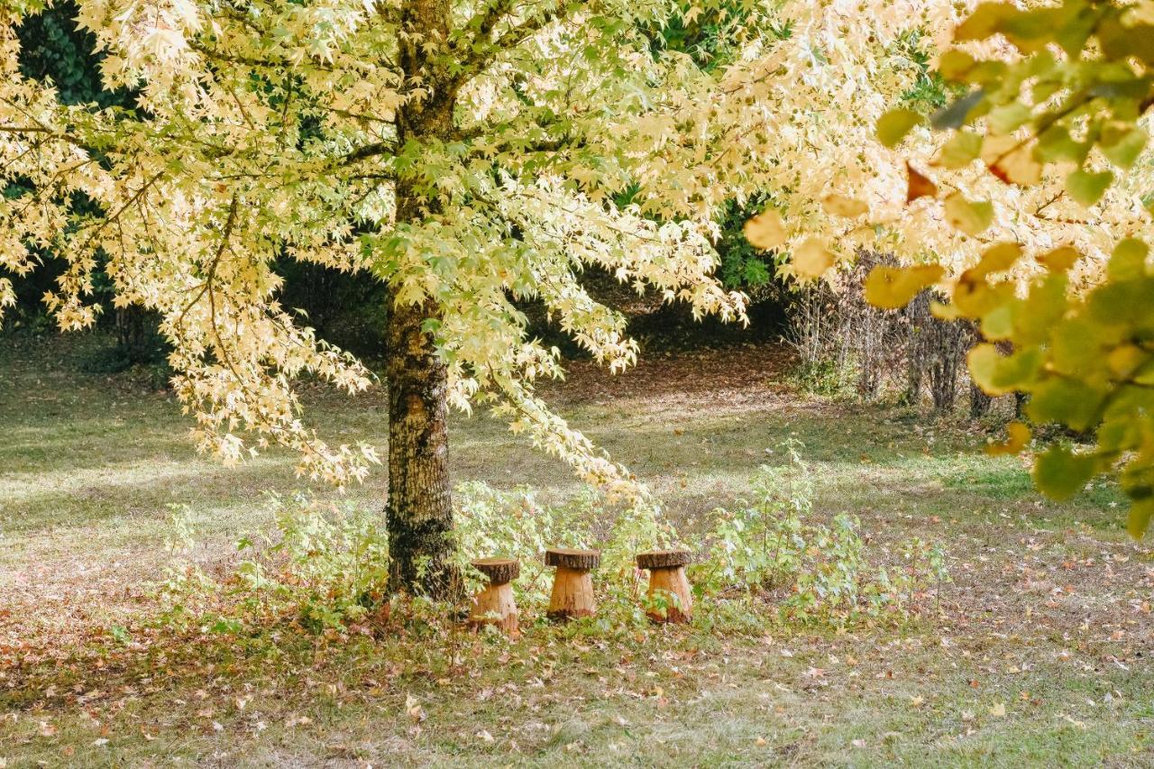 Maison Cistus - Maison D'Hotes De Charme - Suites Et Gite Avec Terrasses Privees - Proche De Sarlat, Au Coeur De La Nature Экстерьер фото