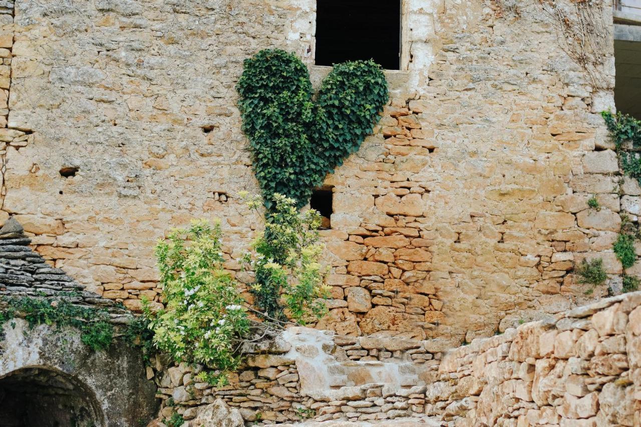 Maison Cistus - Maison D'Hotes De Charme - Suites Et Gite Avec Terrasses Privees - Proche De Sarlat, Au Coeur De La Nature Экстерьер фото