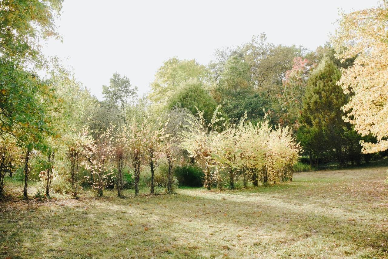 Maison Cistus - Maison D'Hotes De Charme - Suites Et Gite Avec Terrasses Privees - Proche De Sarlat, Au Coeur De La Nature Экстерьер фото